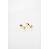 ted baker sinee: mini pearl stud earrings