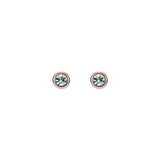 ted baker sinee: mini crystal stud earrings, rose gold tone, clear crystal