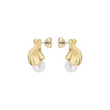 ted baker caliien: clam shell gold tone pearl stud earring