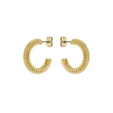 ted baker dotetta: dotty hoop earrings gold tone