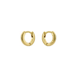 ted baker crisete: logo hoop earrings (10mm) gold tone