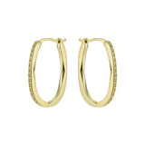 ted baker shivanna: crystal shimmer gold tone hoop earrings