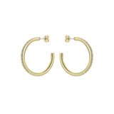 ted baker clanci: medium crystal gold tone hoop earrings