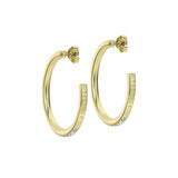 ted baker clanci: medium crystal gold tone hoop earrings