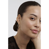 ted baker clanci: medium crystal gold tone hoop earrings