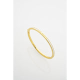ted baker roley: classic colour enamel slim gold tone bangle bracelet