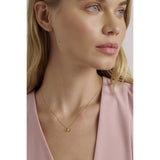 ted baker blaire: mini metal bow pendant necklace